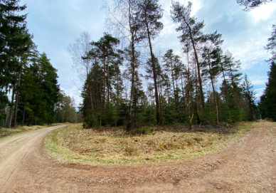 Preunersfelder Rangen Preunersfelder Rangen (Deutschland)