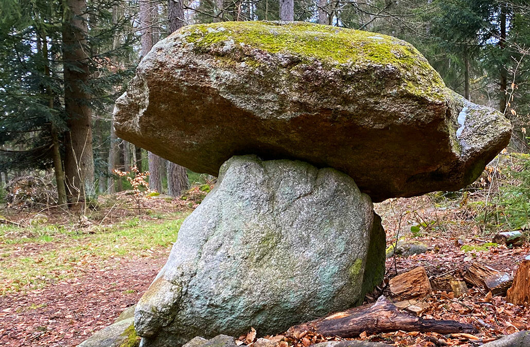 Steinwald