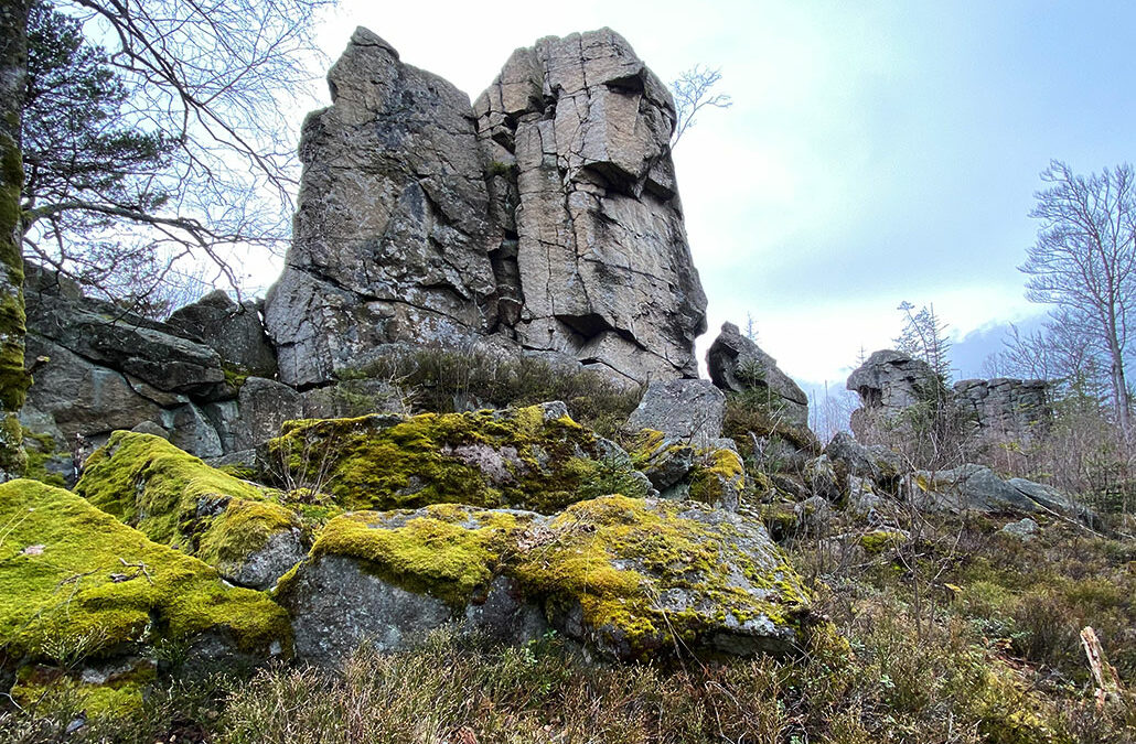 Zipfeltannenfelsen