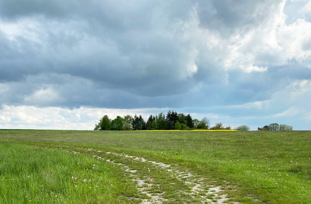 Bindlacher Berg