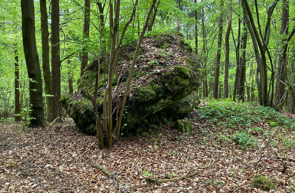 Püttlacher Berg (Rupprechtshöhe)