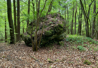 Püttlacher Berg (Rupprechtshöhe)