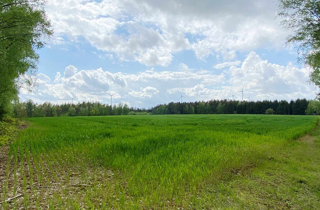 Wechselstein