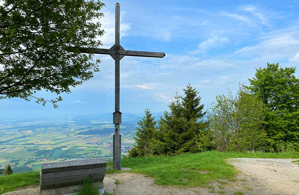 Ahornriegel
