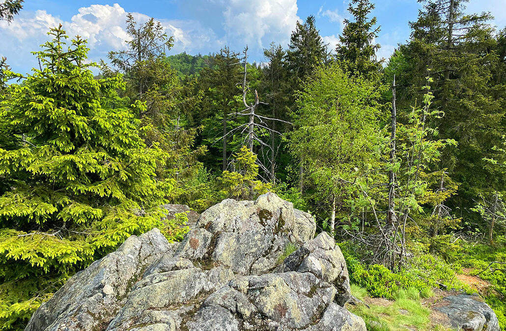 Bärenriegel
