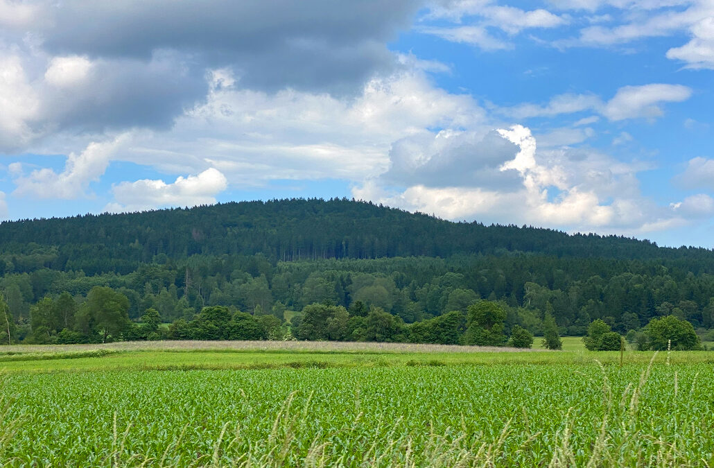 Drechselberg
