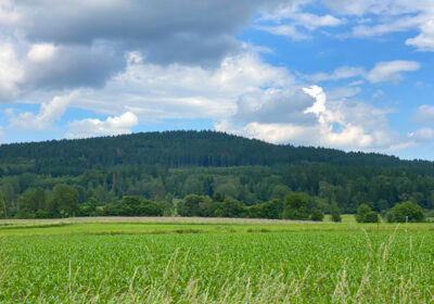 Drechselberg