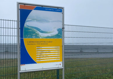 Großer Farmdenkopf Farmdenkopf (Deutschland)