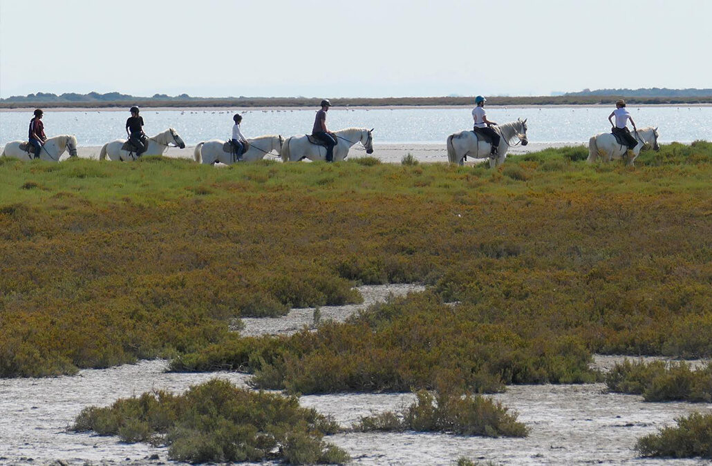 Camargue