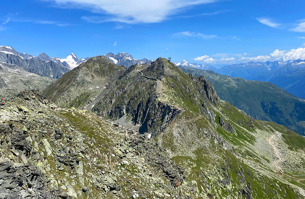 Fiescherhorli
