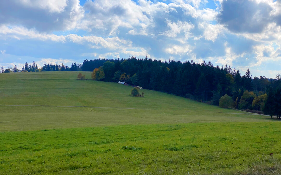 Wandbühl