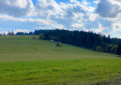 Wandbühl Wandbühl (Deutschland)