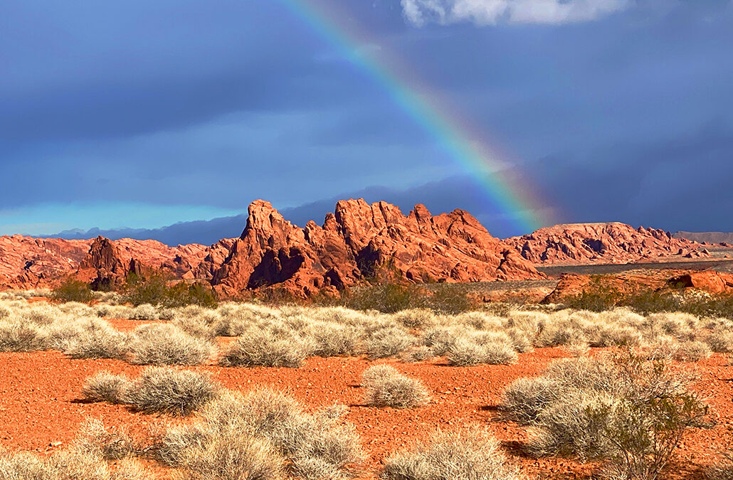 Nevada