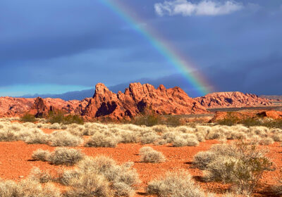 Nevada
