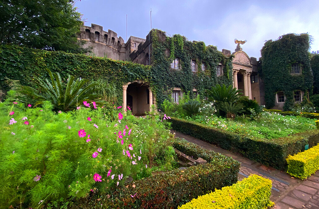 Flycatcher Castle
