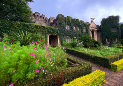 Flycatcher Castle