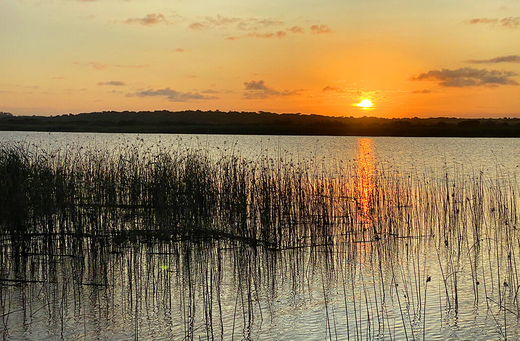 Isimangaliso Wetland Park