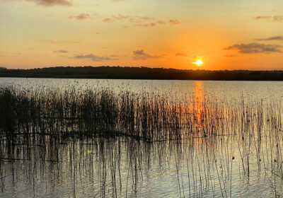 Isimangaliso Wetland Park