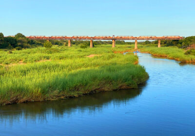 Kruger Shalati – Train on the bridge