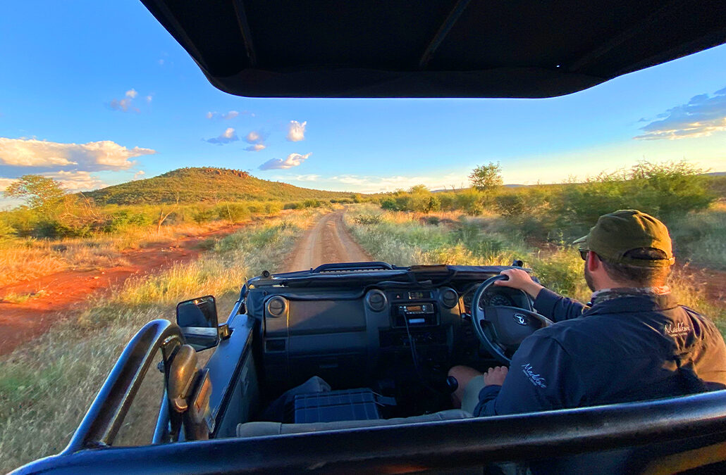 Madikwe Game Reserve