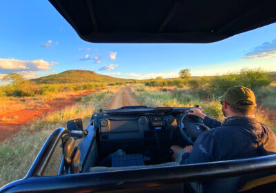 Madikwe Game Reserve