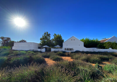 Babylonstoren