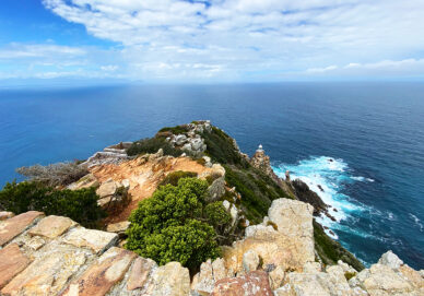 Cape of good hope / Kap der guten Hoffnung - Cape Point (Südafrika)