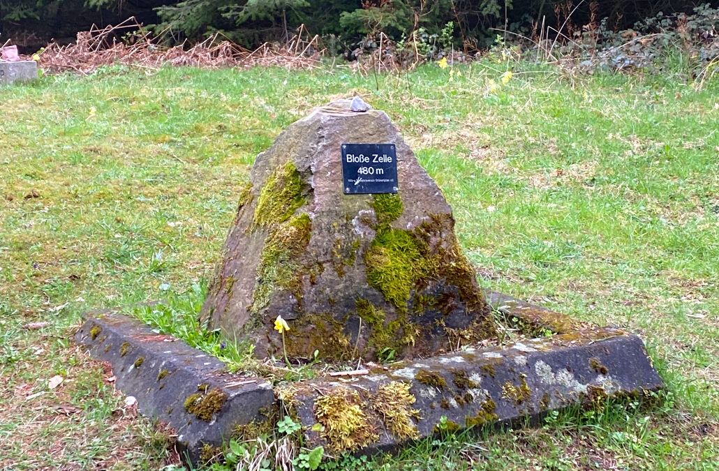 Bloße Zelle