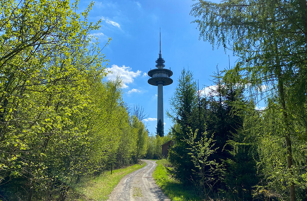 Hohe Brach