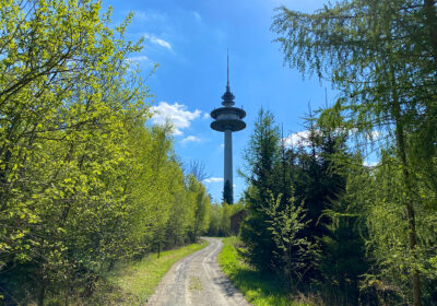 Hohe Brach