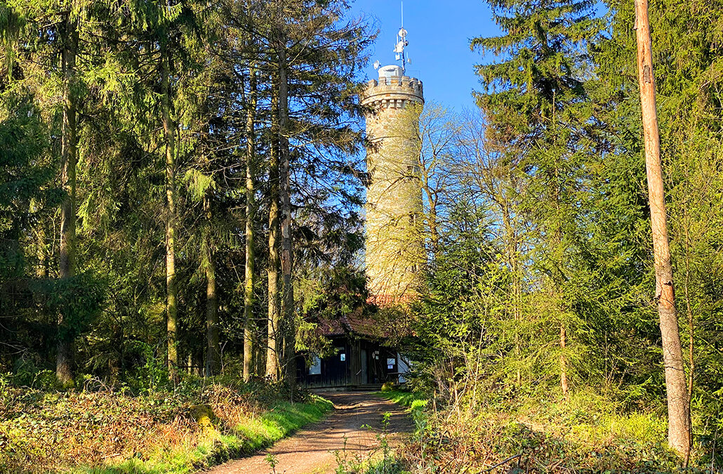 Hohe Egge