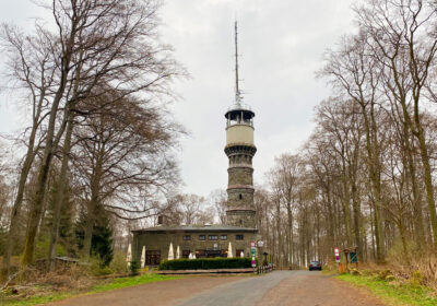 Hohes Gras