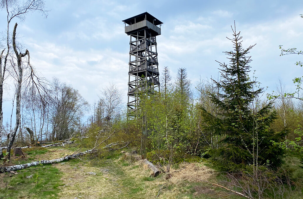 Wüstegarten