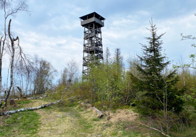 Wüstegarten