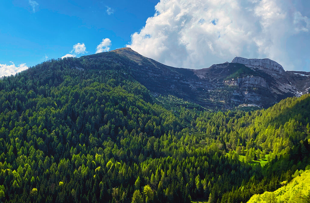 Cima Verde