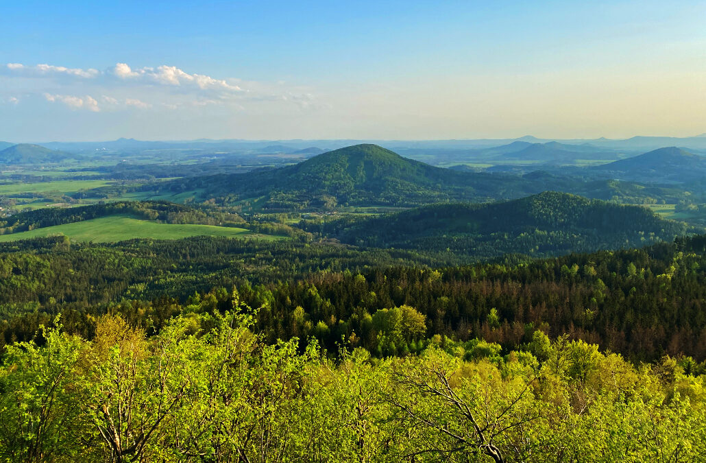 Hochwald