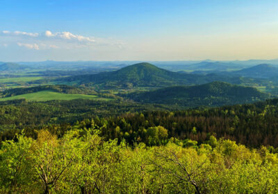 Hochwald