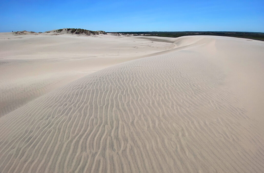 Råbjerg Mile