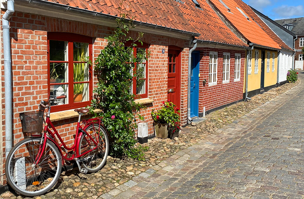 Ribe