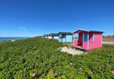 Skanör beach