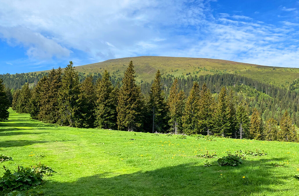Speikkogel