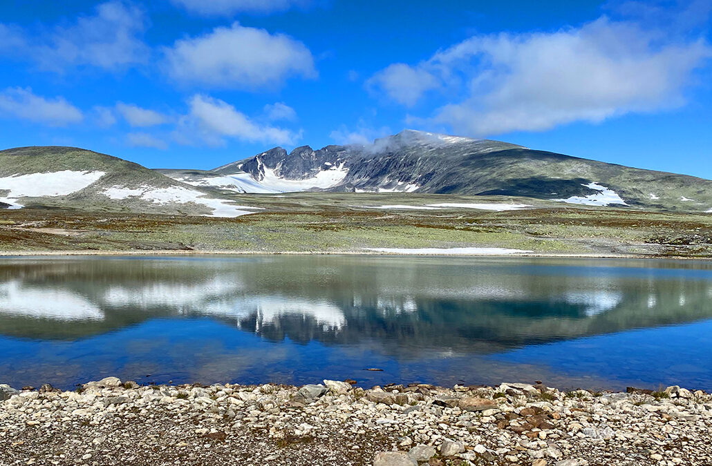 Snohetta