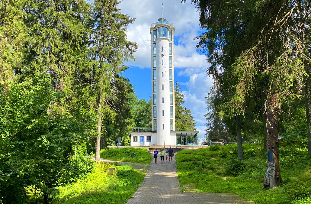 Suur Munamägi