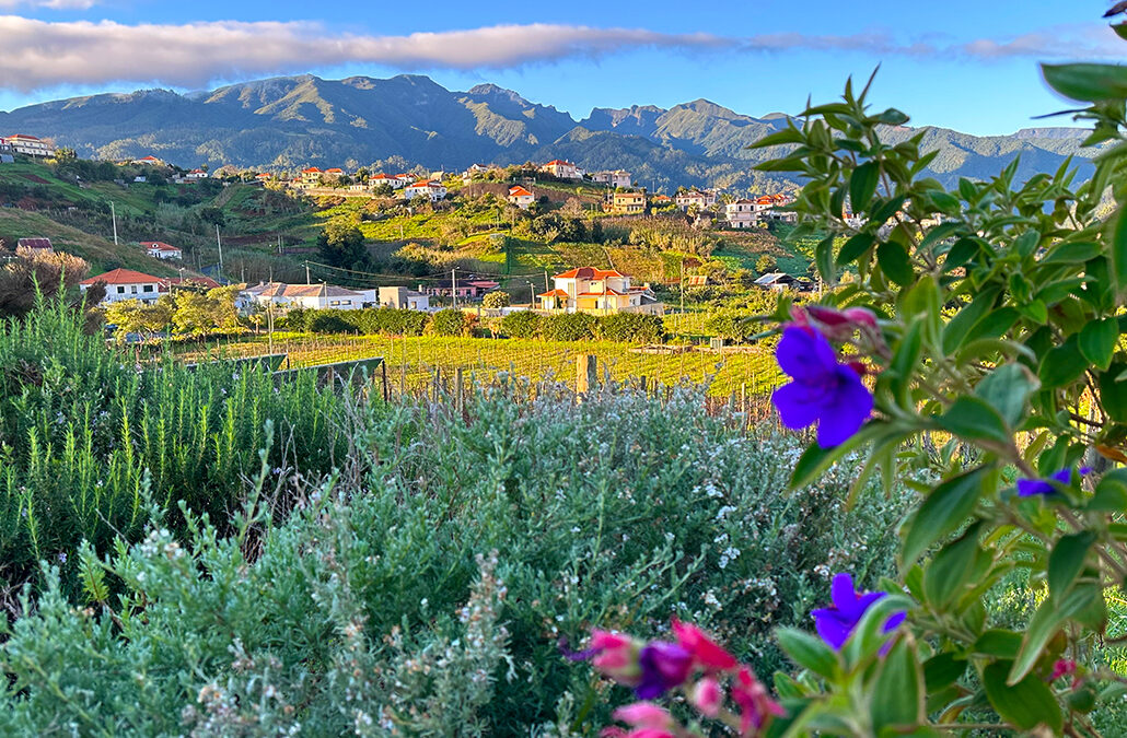 Madeira