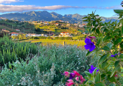 Madeira