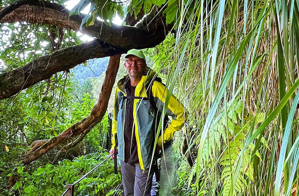 PR 9 – Levada do Caldeirão Verde