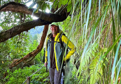 PR 9 – Levada do Caldeirão Verde