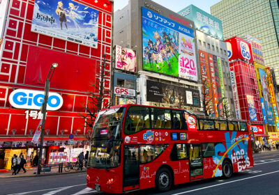 Akihabara Electric Town