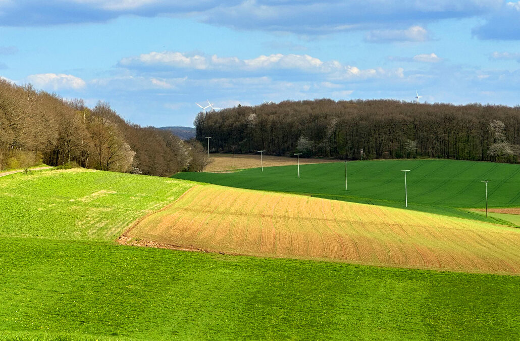 Daumerenberg