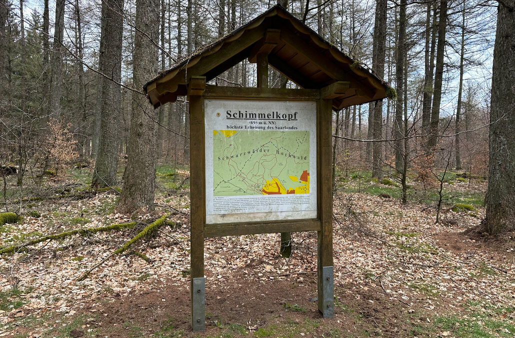 Schimmelkopf